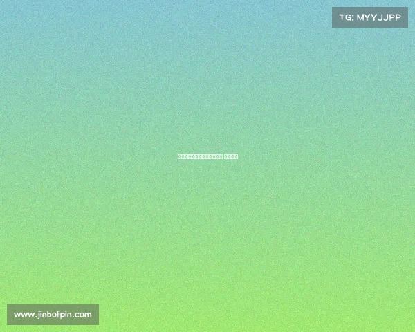 美国排球今天最新赛事、美国 排球联赛